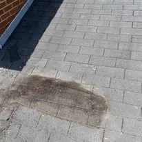 Slide of Piranha Home Repairs