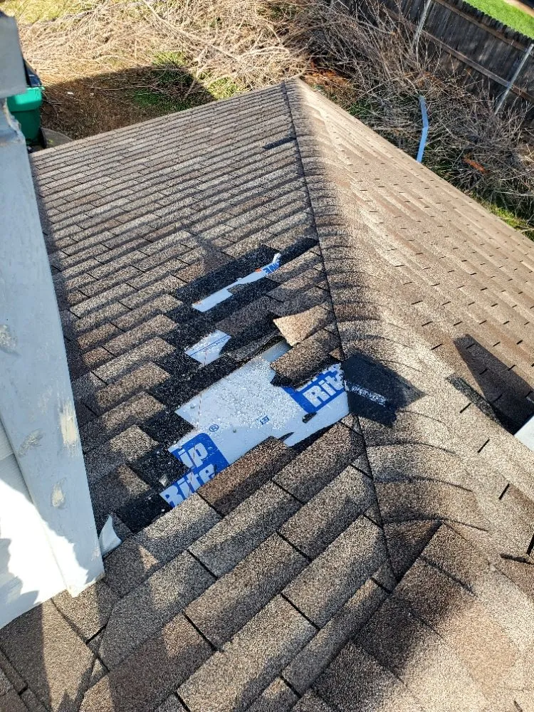 Slide of Pirate Roofing