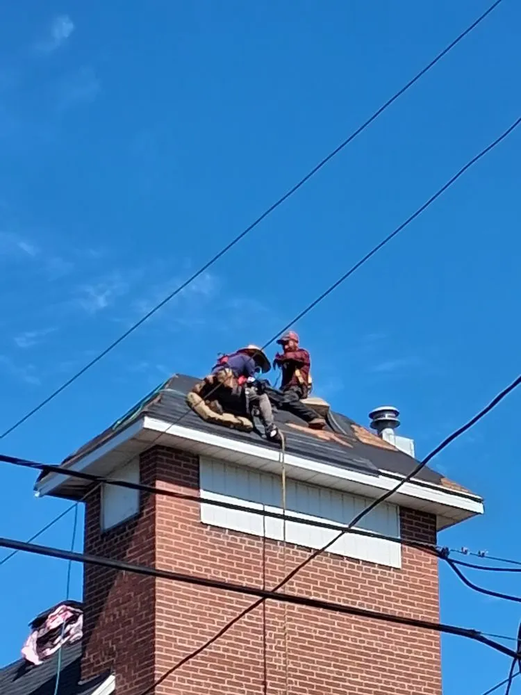 Slide of Pitch and Grit