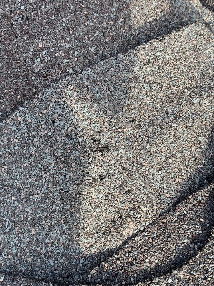 Slide of Pitch Perfect Construction