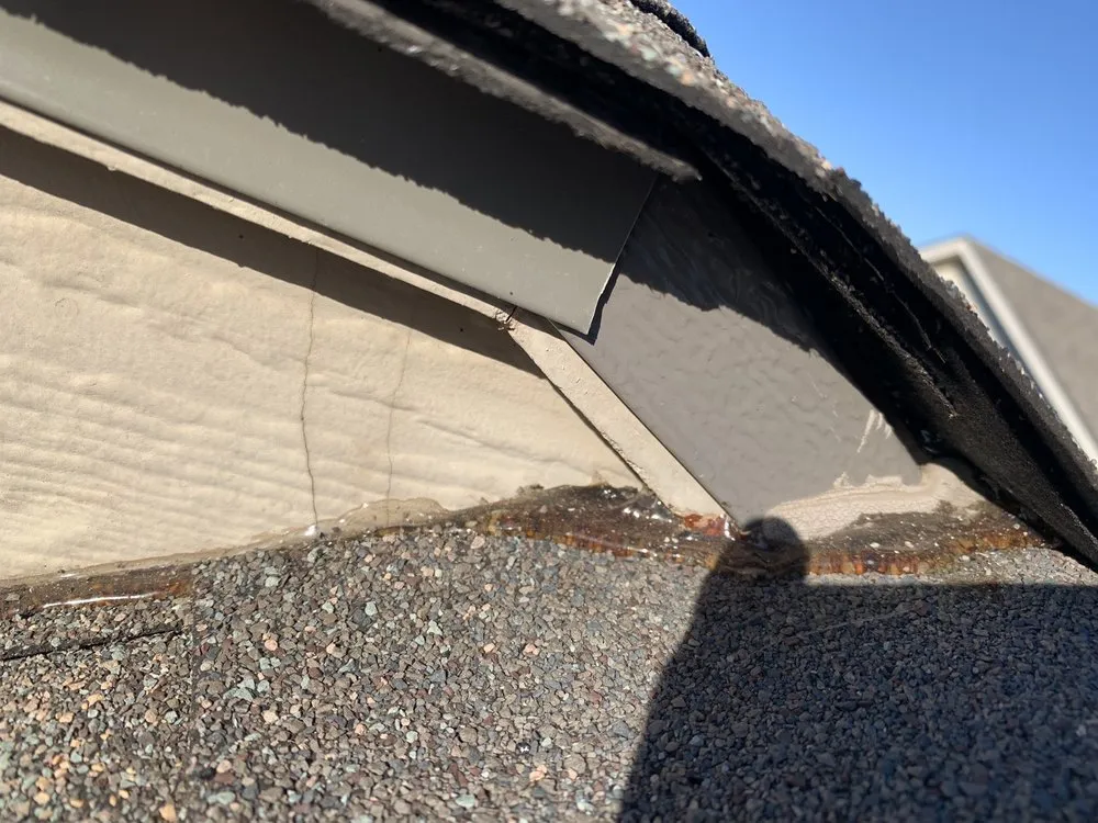 Slide of Pitch Perfect Construction