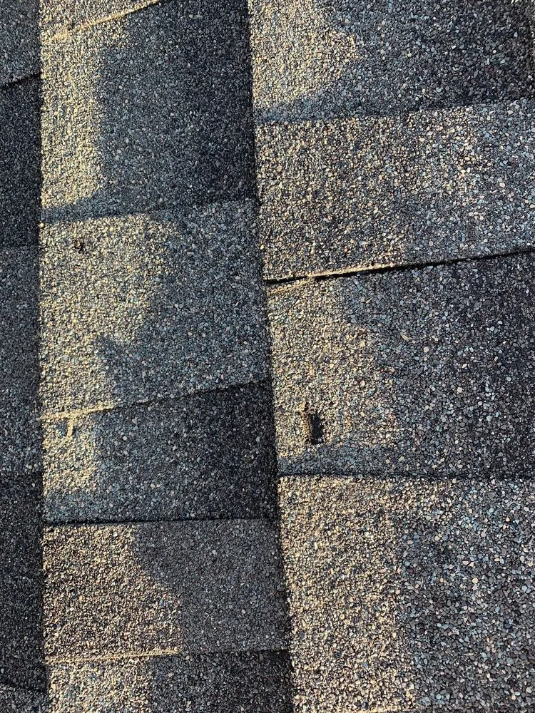 Slide of Pitch Perfect Construction