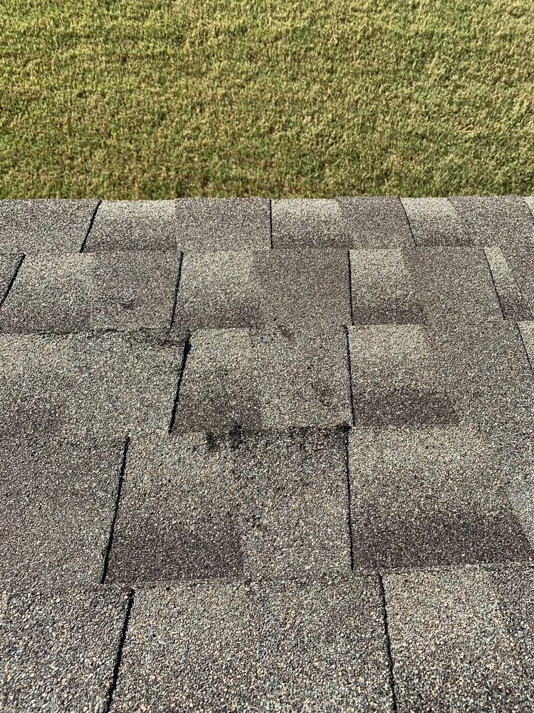 Slide of Pitch Perfect Construction