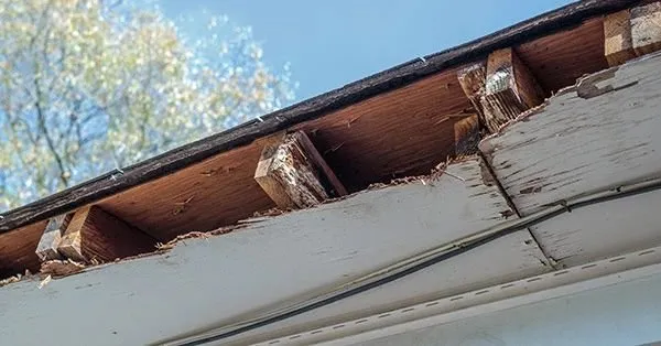 Slide of Pitch Perfect