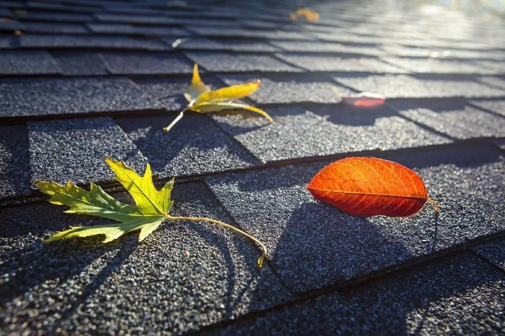 Slide of Pitch Perfect