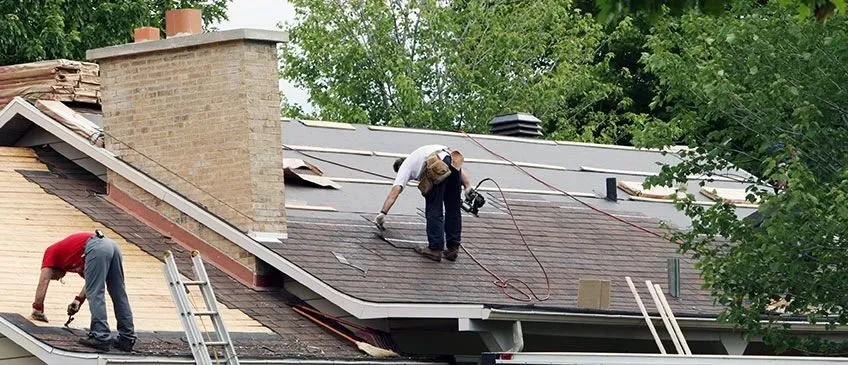 Slide of Pitch Perfect