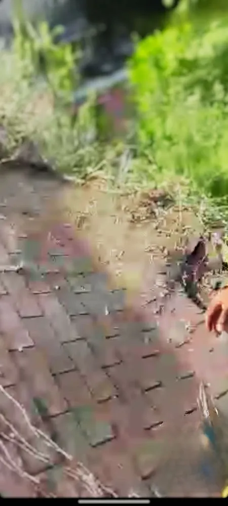 Slide of Pittsburgh #1 Roofer