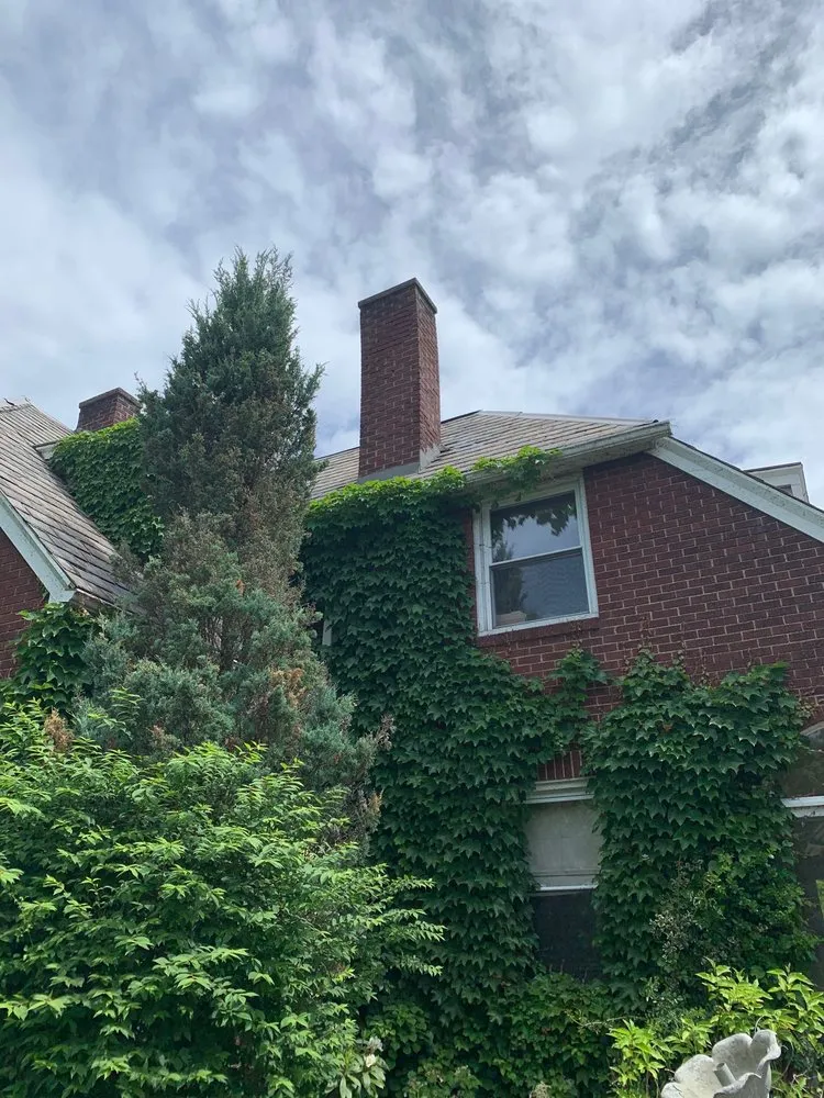 Slide of Pittsburgh Chimney Guy