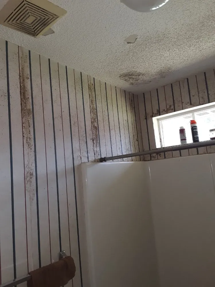 Slide of P&J improvements