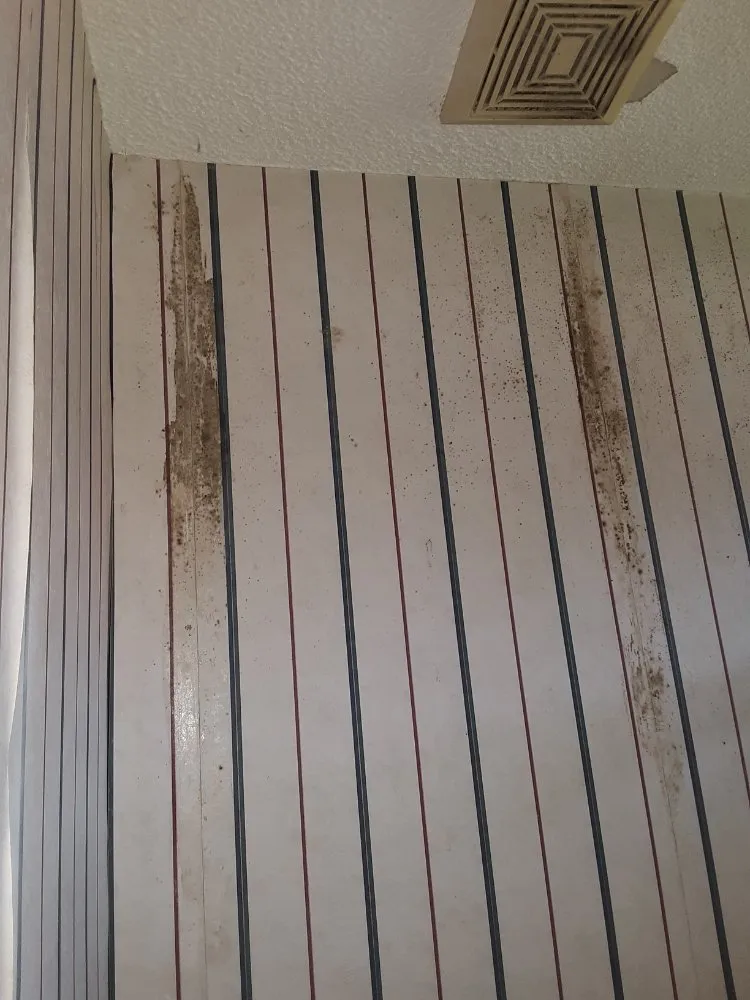 Slide of P&J improvements