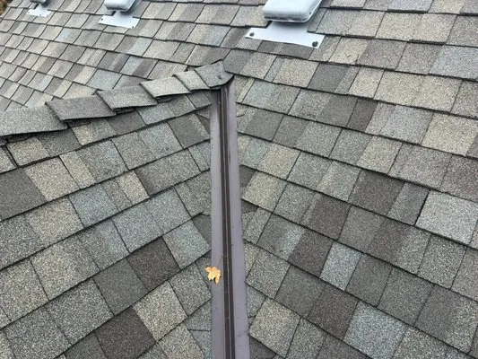 Platinum Roofing & Construction
