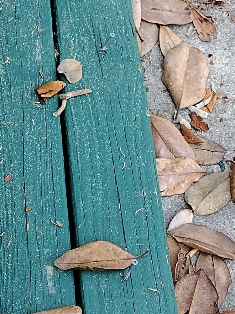 Slide of Platinum Roofing