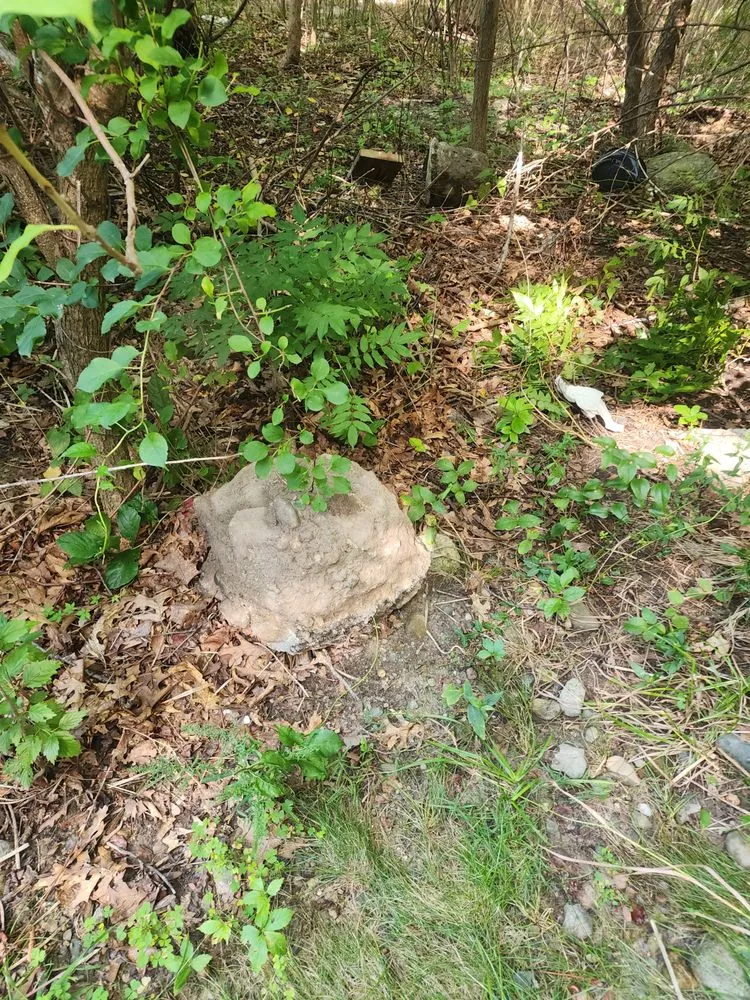 Slide of PLJ Carpentry