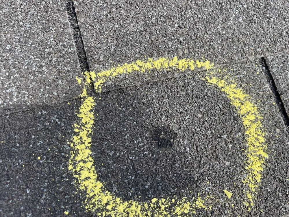 Slide of PMC Company