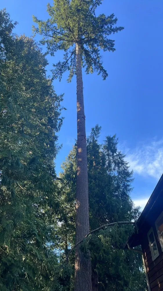 Slide of PNW construction