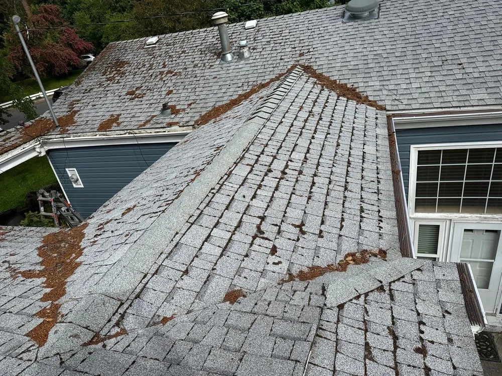 Slide of PNW Platinum Roofing