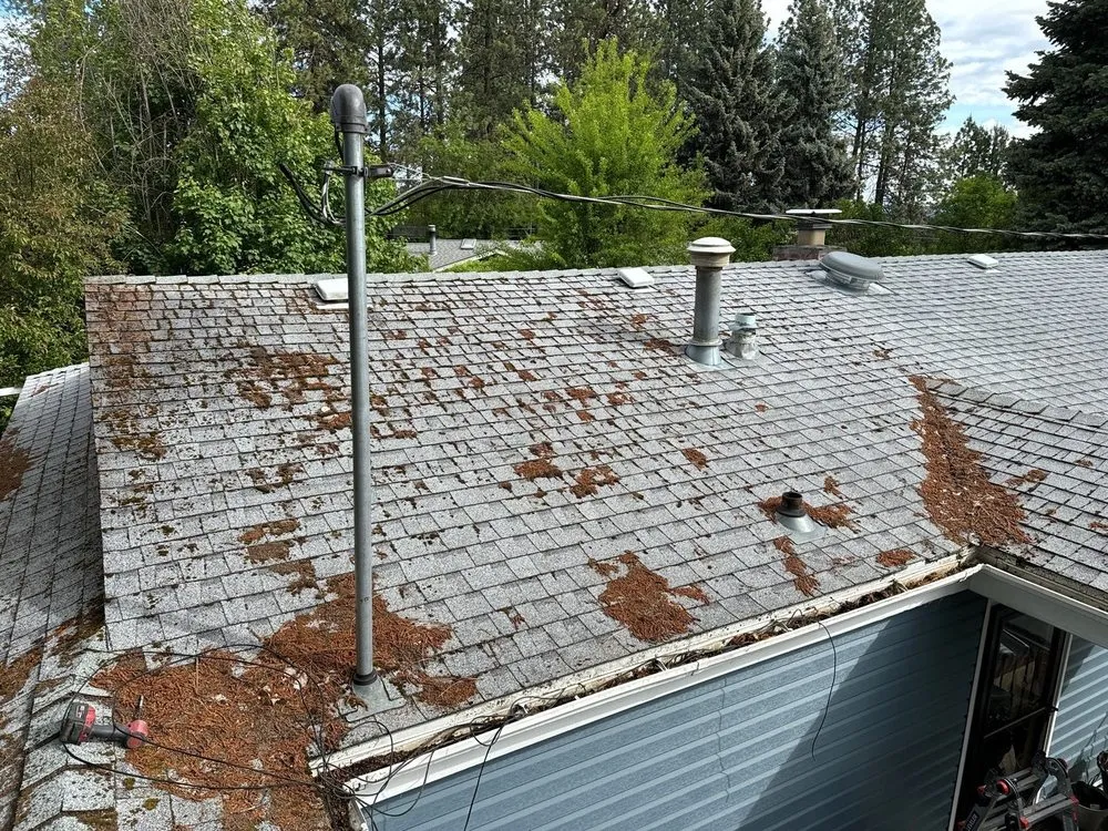 Slide of PNW Platinum Roofing