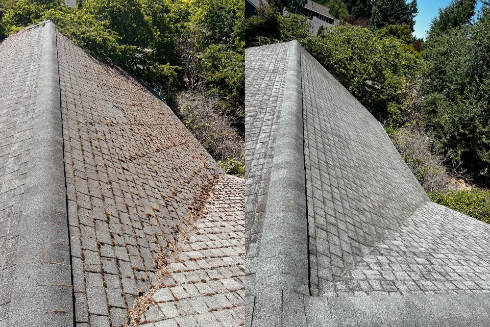 Slide of PNW Roof & Gutter