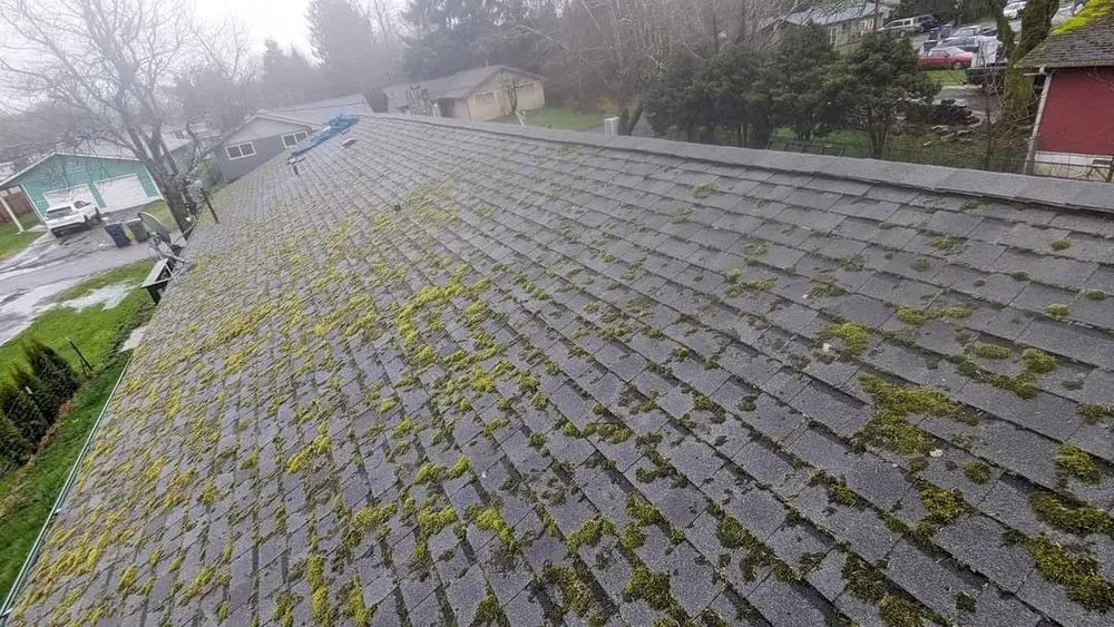 Slide of PNW Roofing and Repairs