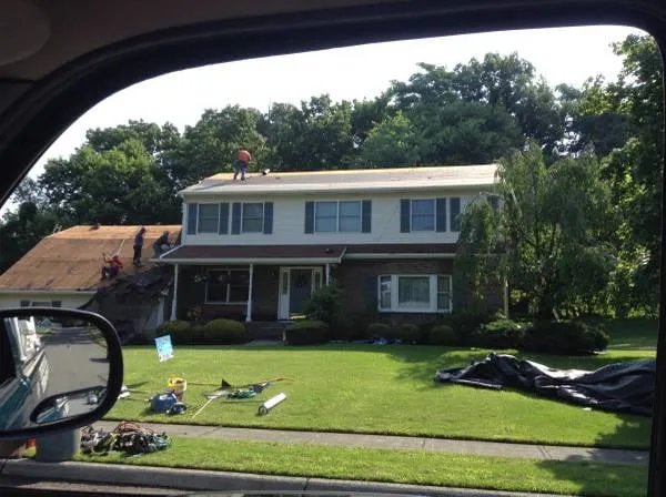 Slide of Podocarpus Roofing