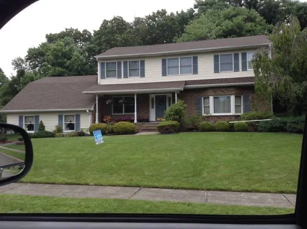Slide of Podocarpus Roofing