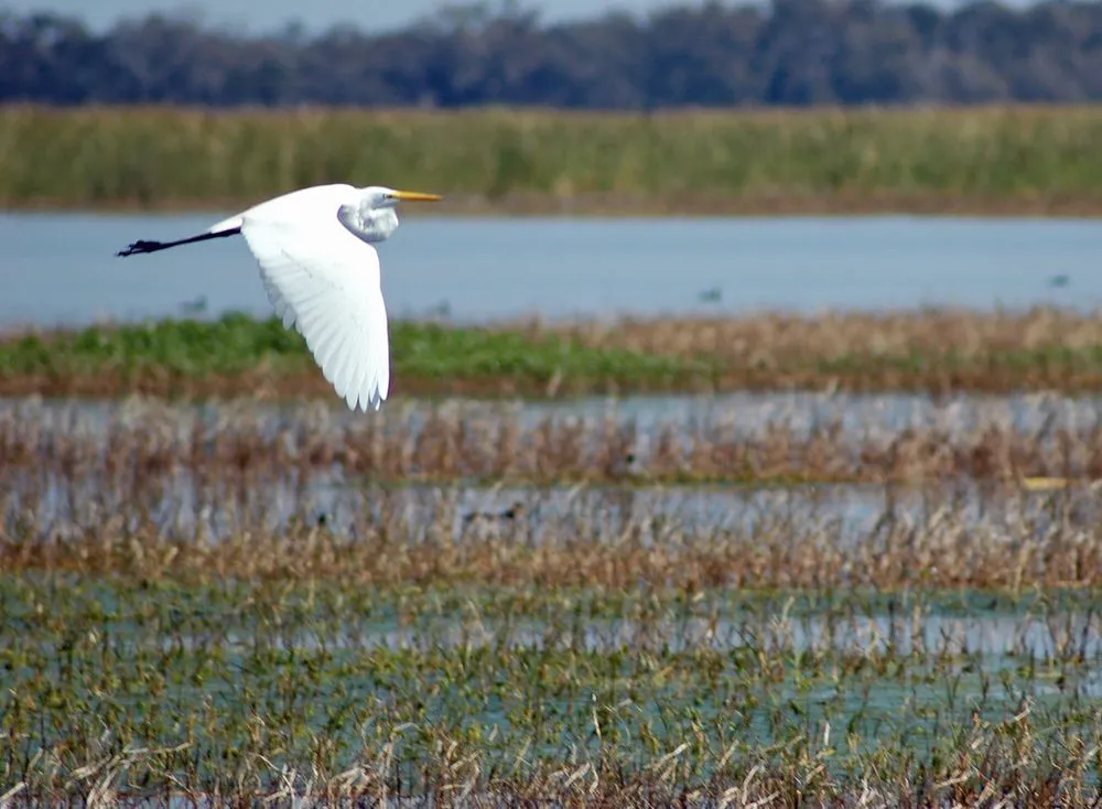 Slide of Poinciana Roofing Pros