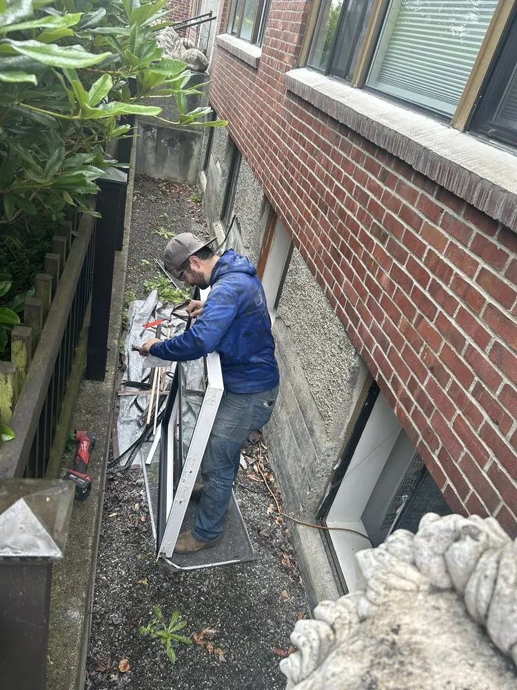 Slide of Polar Bear Exterior Solutions