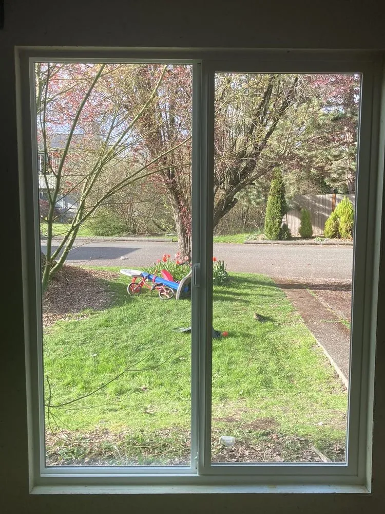 Slide of Polar Bear Exterior Solutions