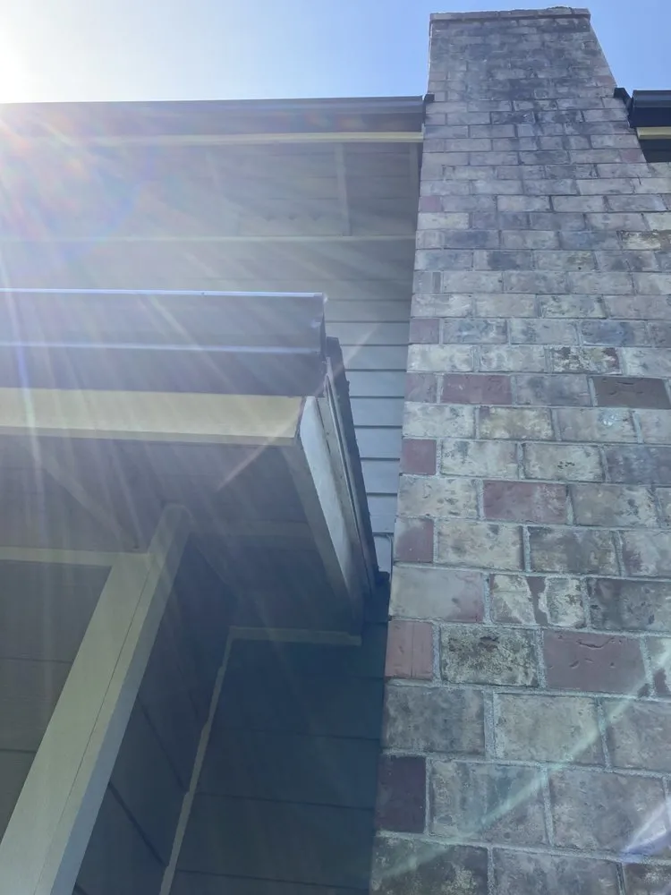 Slide of Polar Bear Exterior Solutions