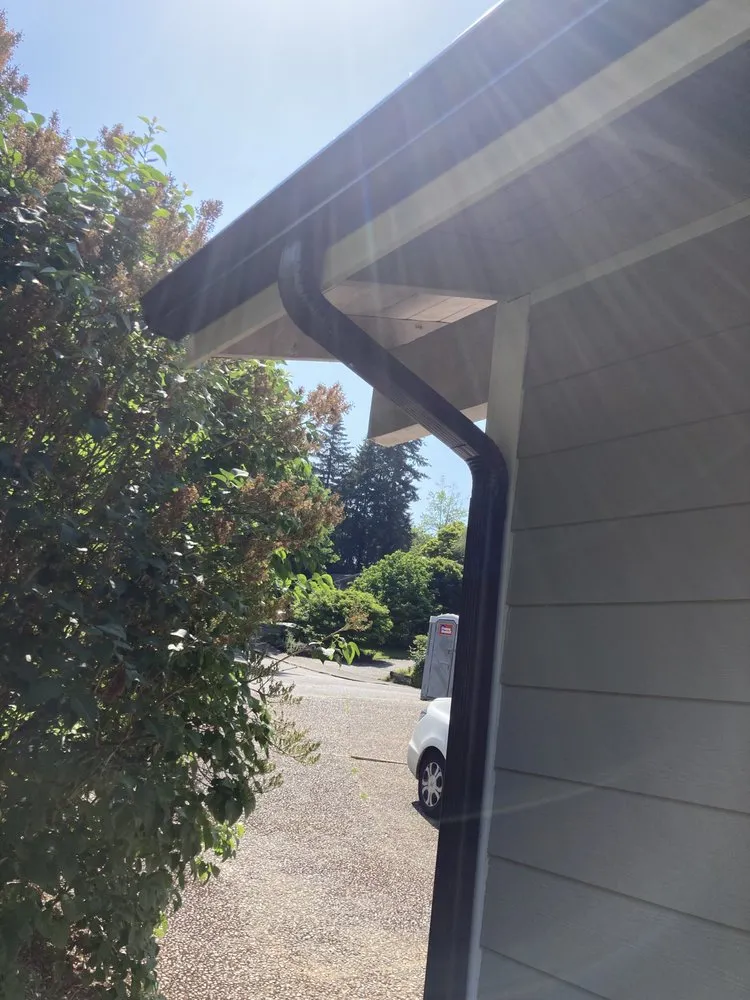 Slide of Polar Bear Exterior Solutions