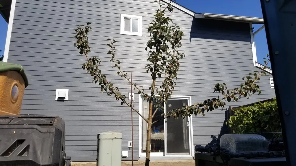 Slide of Polar Bear Exterior Solutions