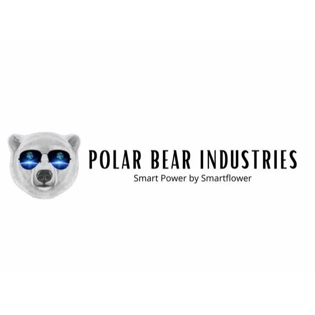 Local roof replacement experts serving Ochlocknee, GA - Polar Bear Industries