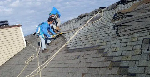 Slide of Polen Property Services