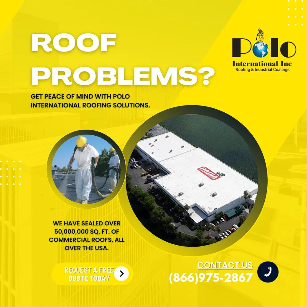 Slide of Polo International