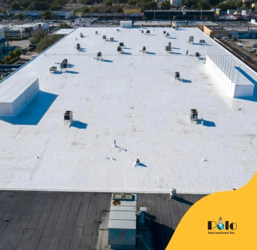 Slide of Polo International