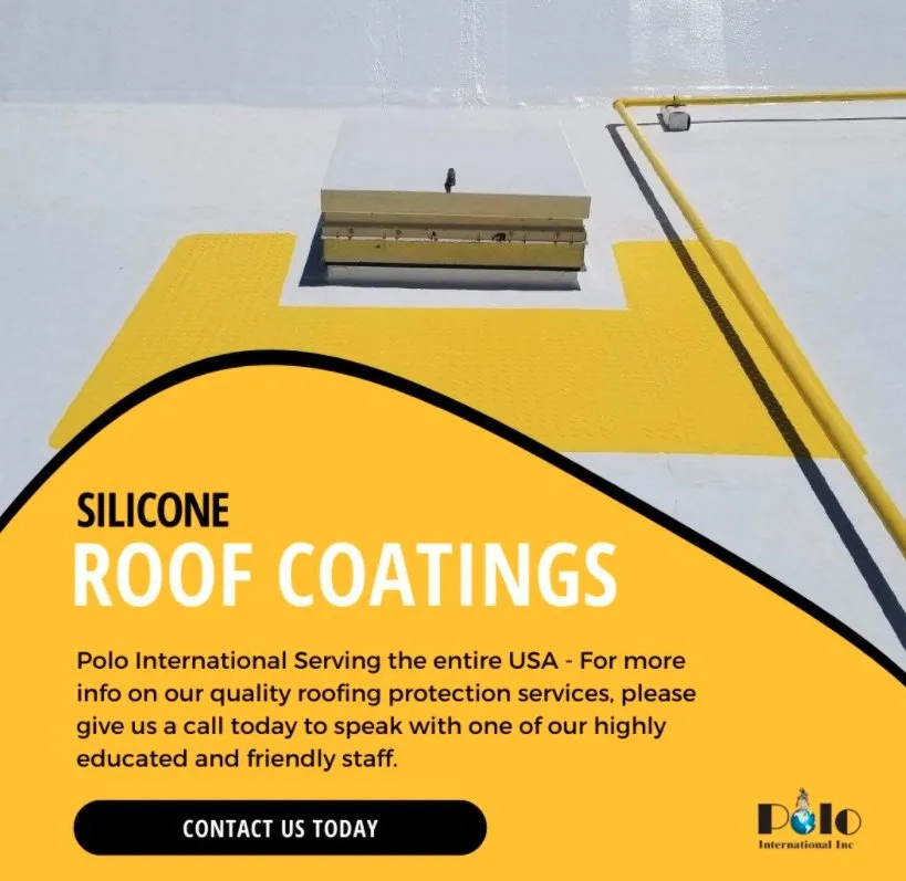 Slide of Polo International