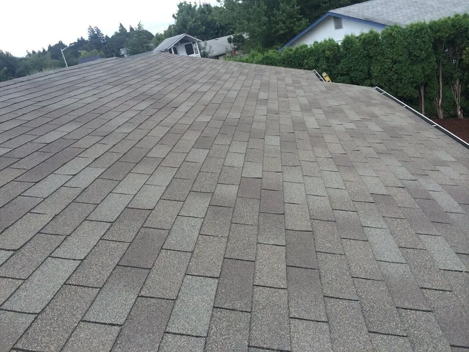 Slide of Polo's Roofing Specialist