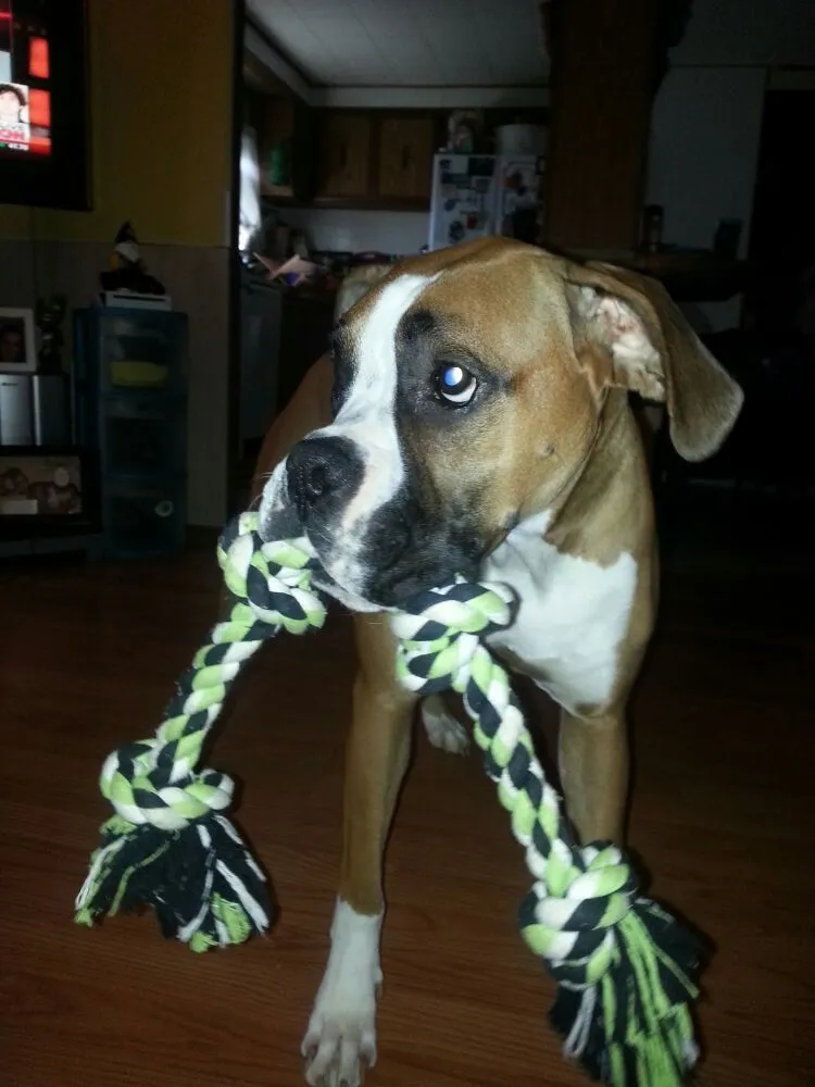 Slide of Pompells All New Again