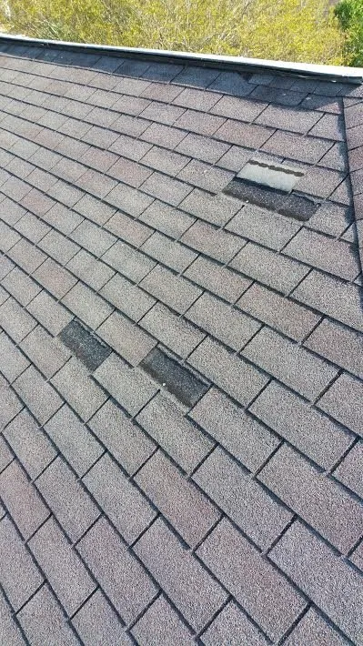 Slide of Port City Roofing