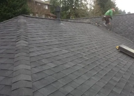 Slide of Port Orchard Roofing