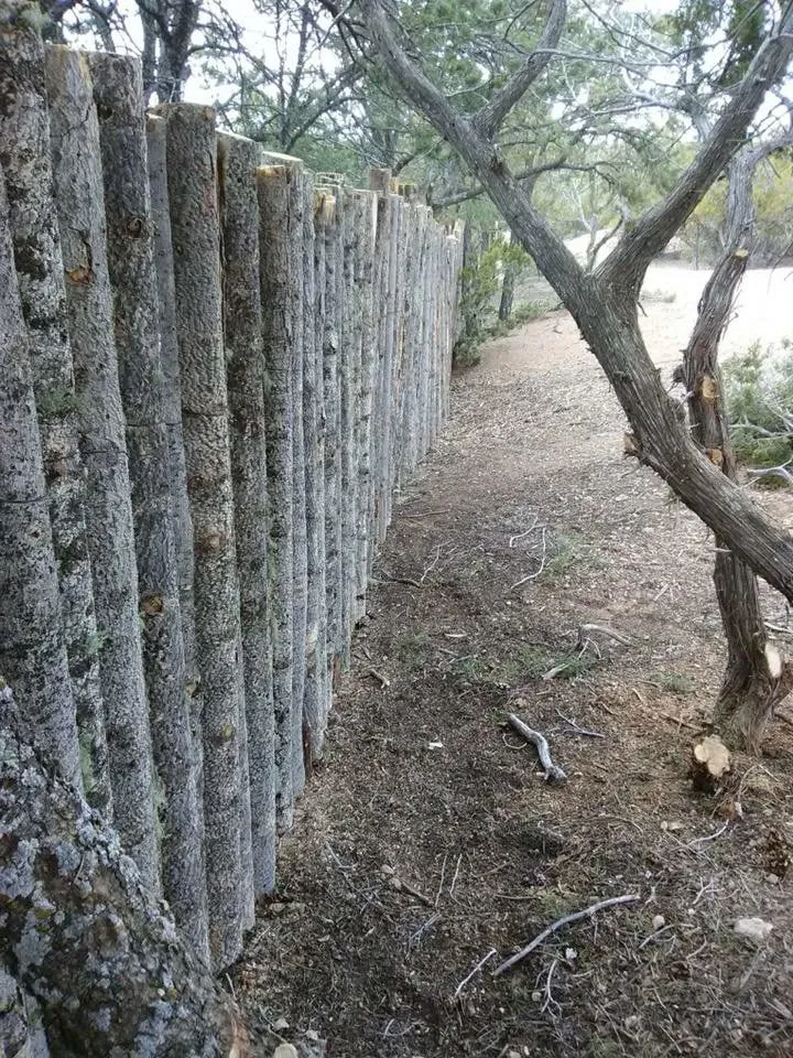 Slide of Portillo Construction