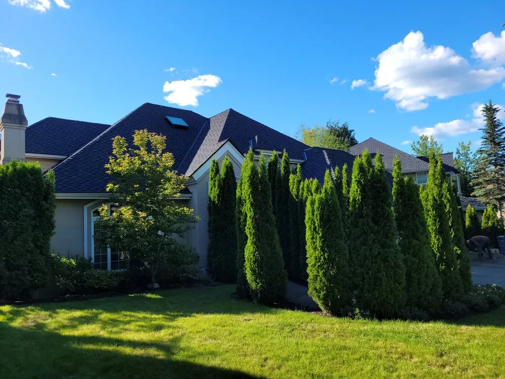 Slide of Portillo Roofing