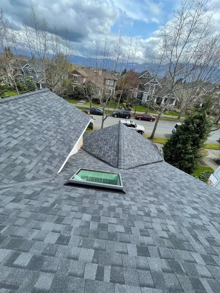 Slide of Portillo Roofing