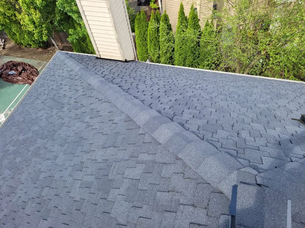 Slide of Portillo Roofing