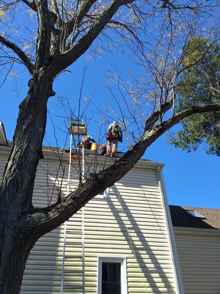 Slide of Positive Energy Solutions