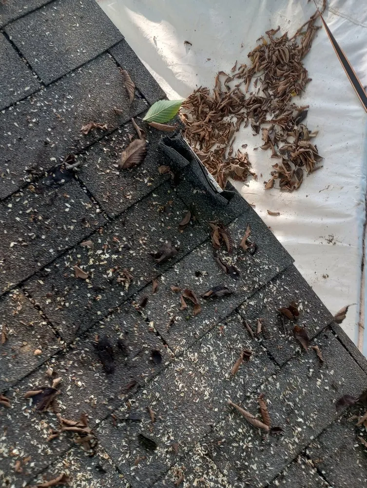 Slide of Post Roofing & Tree Services