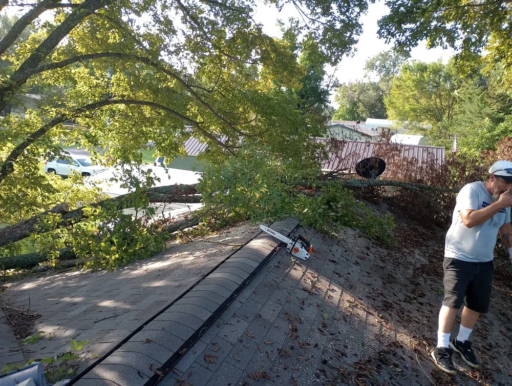 Slide of Post Roofing & Tree Services