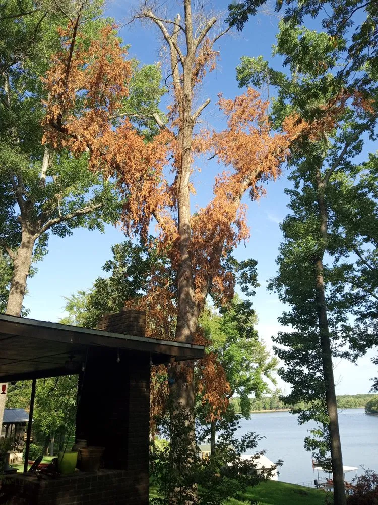 Slide of Post Roofing & Tree Services