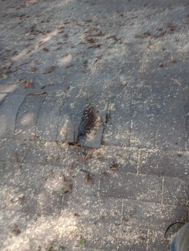 Slide of Post Roofing & Tree Services