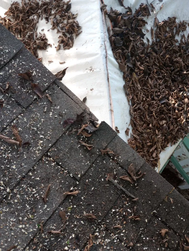 Slide of Post Roofing & Tree Services